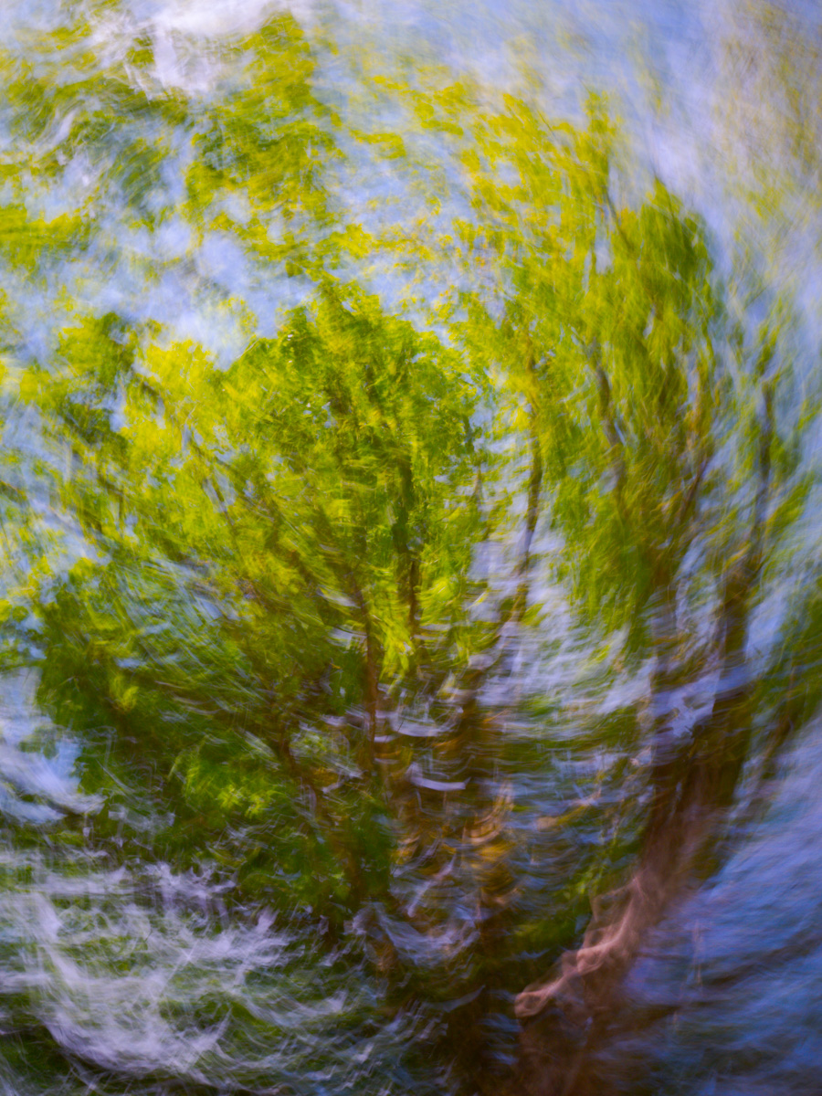 Manifestation | 2024