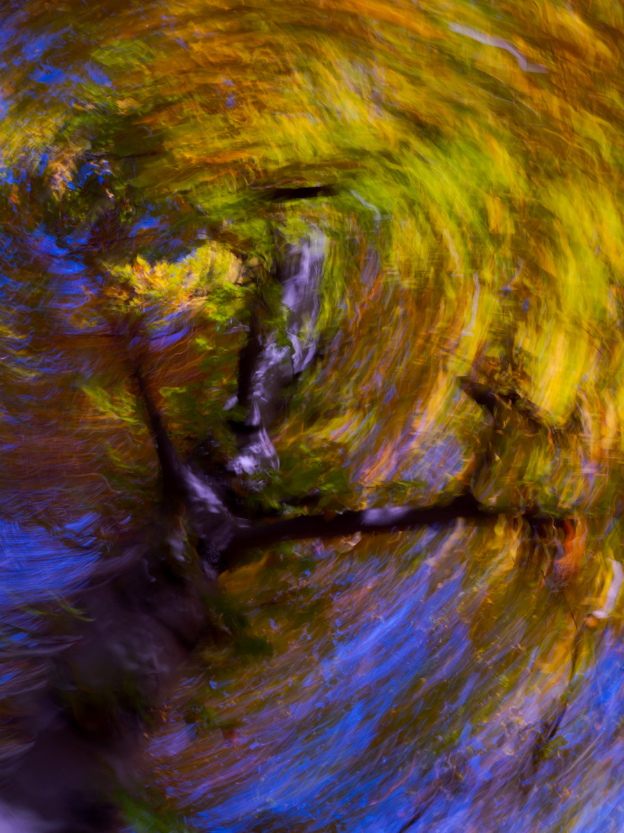 look to windwards | 2024